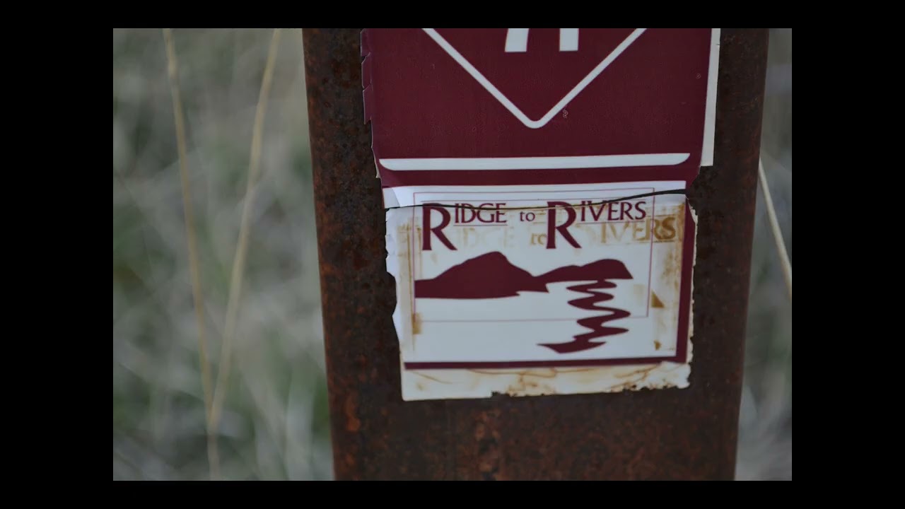 Amazing! Red tail trail