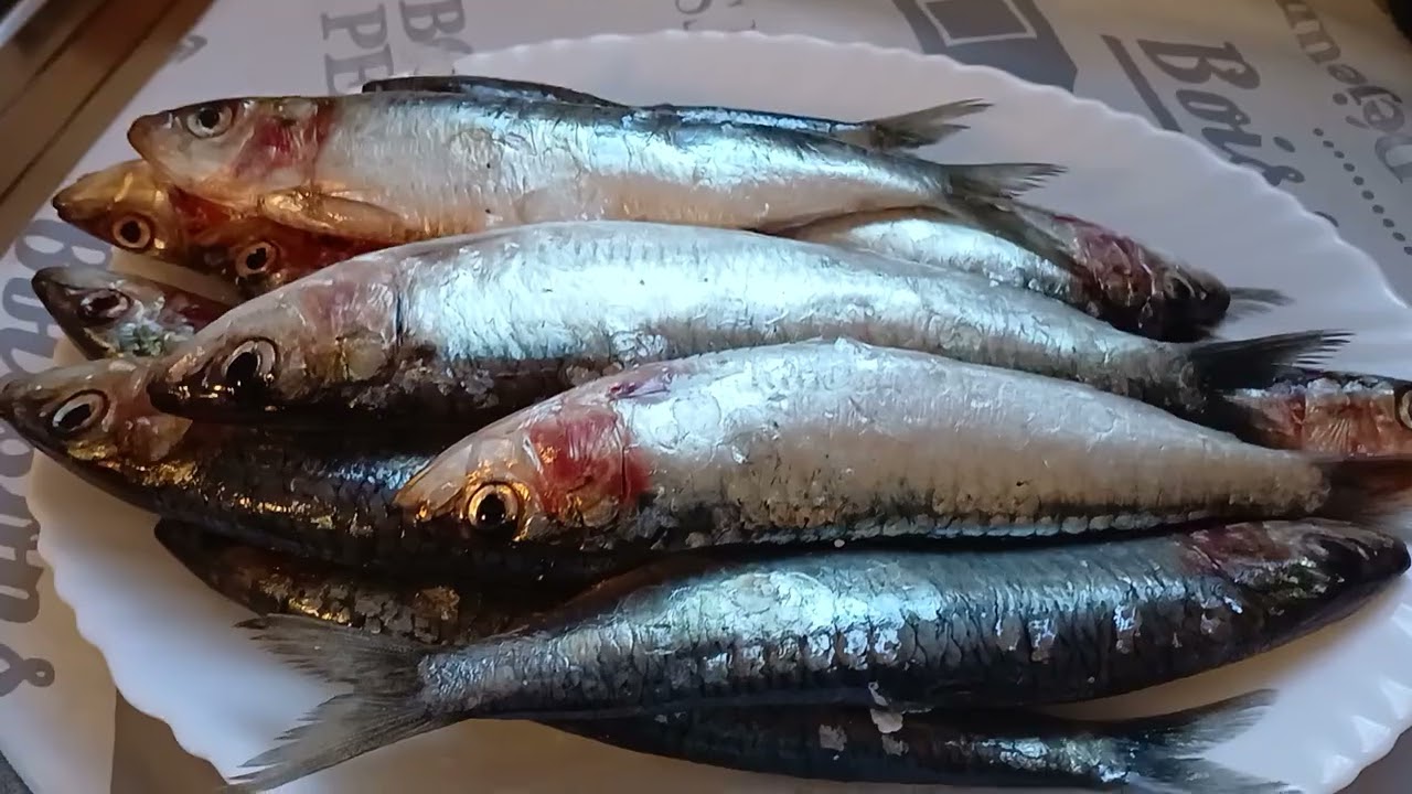 Poissons halal touma halal inchallah YA RABi AMine  dans tout Notre vie 😊🌞✅️ ✅️ ✅️ ✅️ ✅️ ✅️ 🤲👍✌️👮☝️