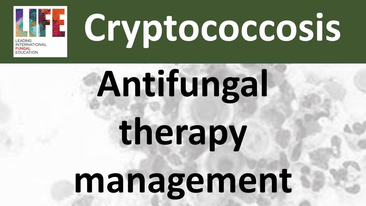 Cryptococcosis: antifungal treatment management