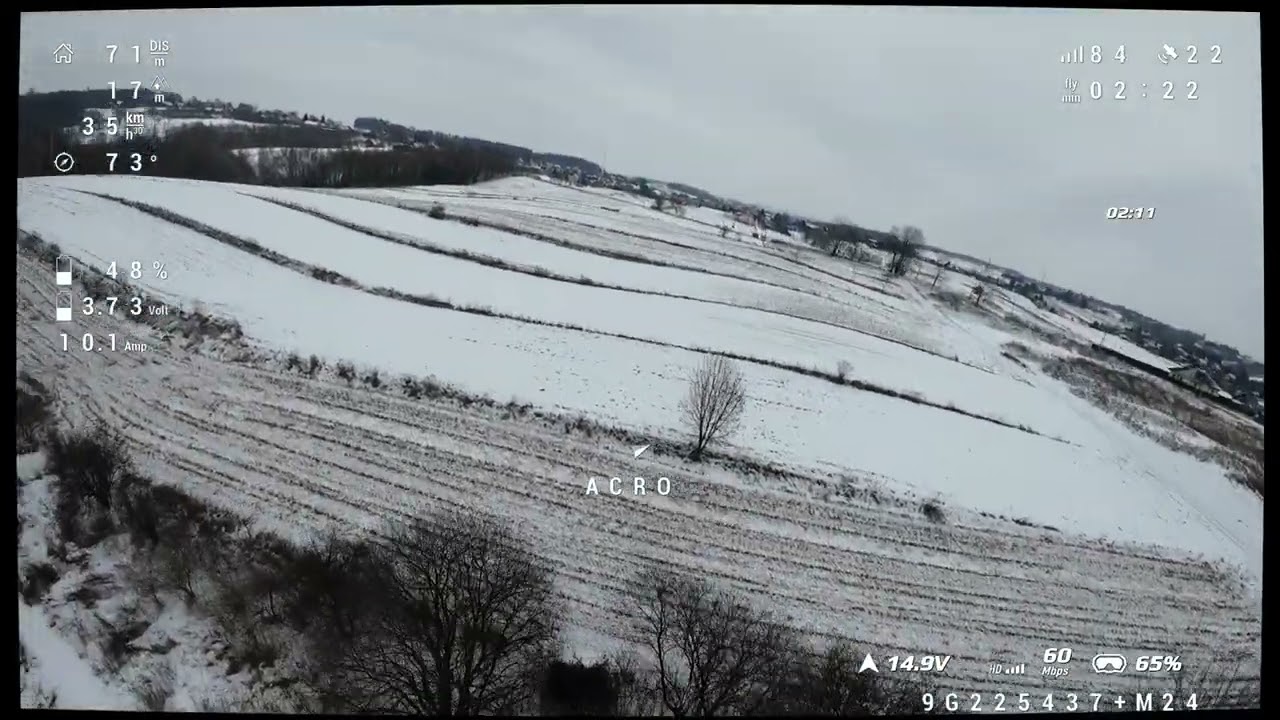 DJI 0012