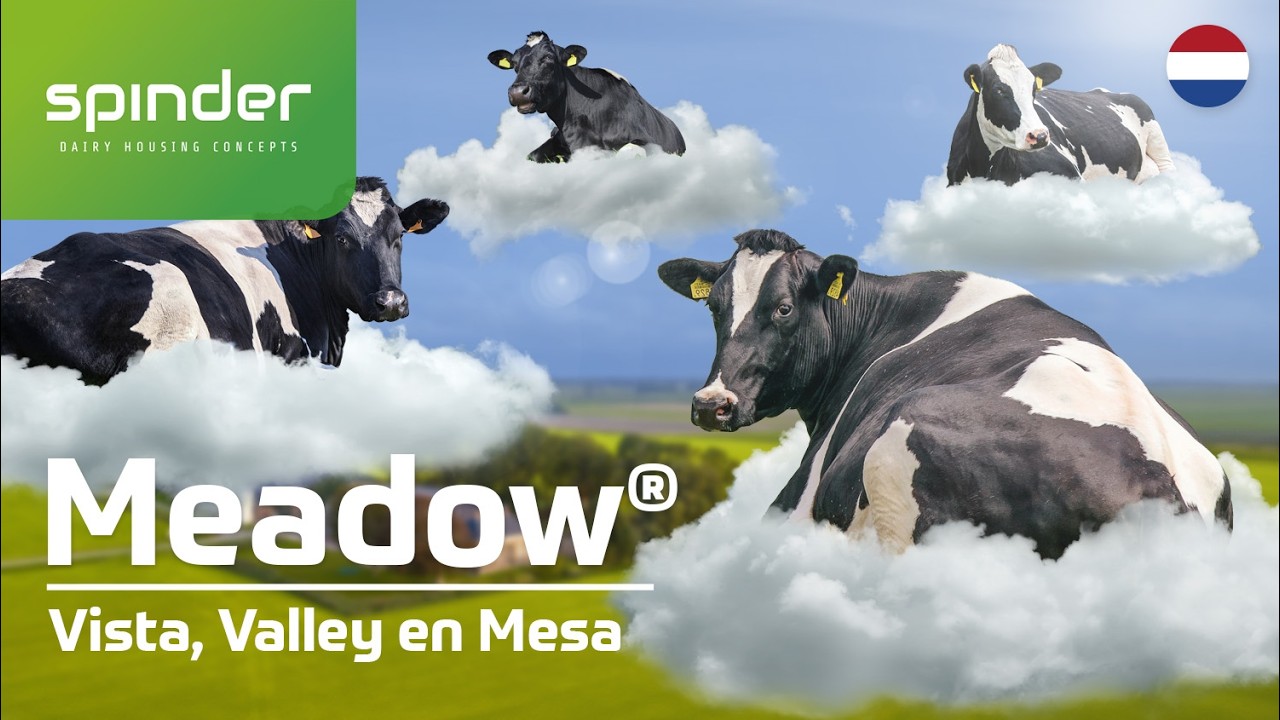 Nieuw koematras Meadow® Vista,  Meadow® Valley & Meadow® Mesa van Spinder NL
