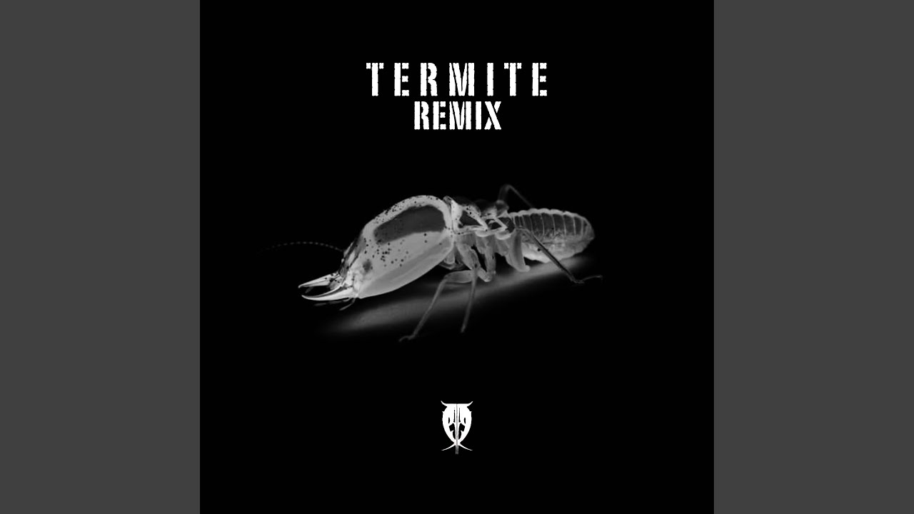 Termite (Remix)