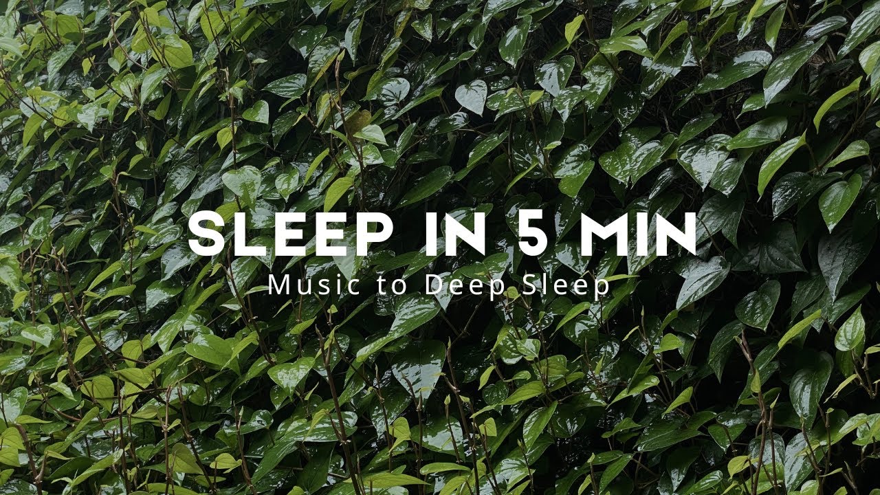Rain & Piano Sleep Music #rainpiano #deepsleep #rainoundforsleep #deepsleepmusic 