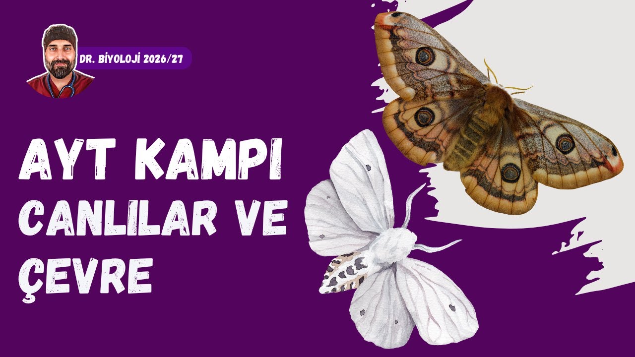 Canlılar ve Çevre | Dr. Biyoloji | AYT Dönem 2026 - 2027