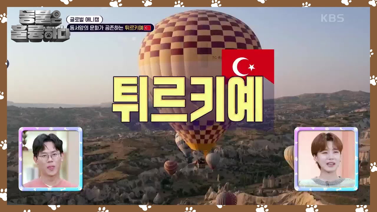 [글로벌 애니캠] 동서양의 문화가 공존하는 튀르키예 [동물은 훌륭하다] | KBS 241223 방송