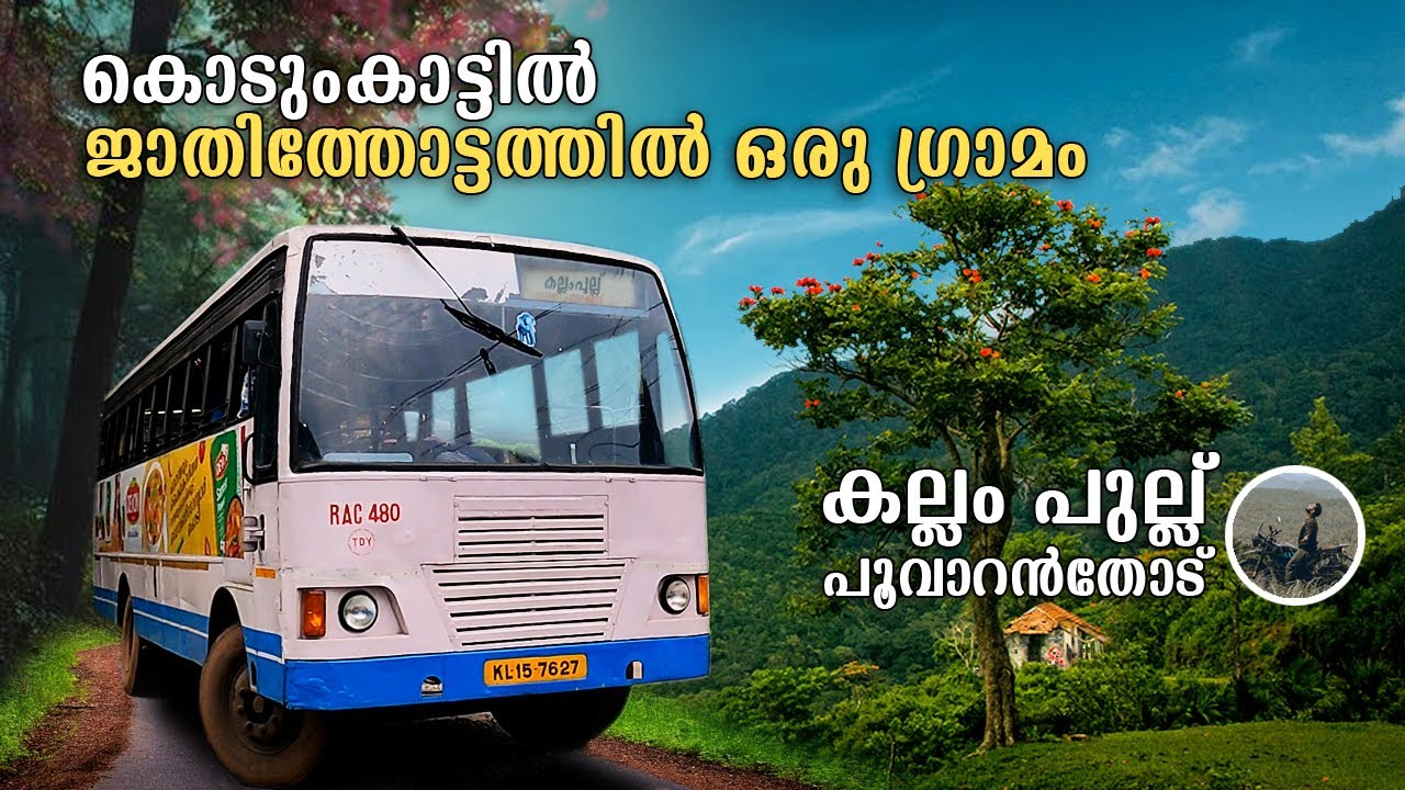 കൊടുംകാട്ടിൽ ജാതിത്തോട്ടത്തിൽ ഒരു ഗ്രാമം കല്ലം പുല്ല് | Poovaranthode | Kozhikode bus trip | free20