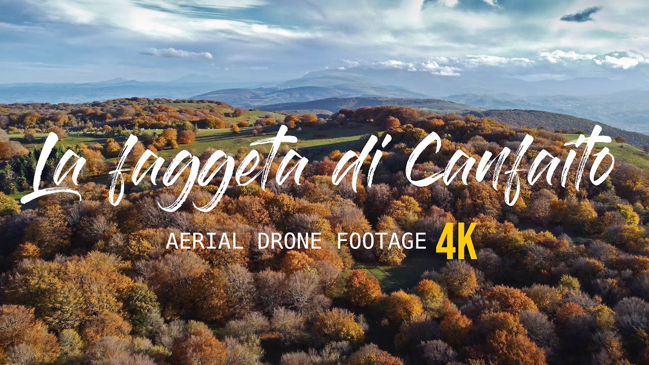 La faggeta di Canfaito