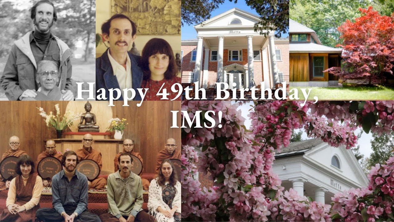 Happy 49th Birthday IMS | Clips from Inside Insight: The Founding Story