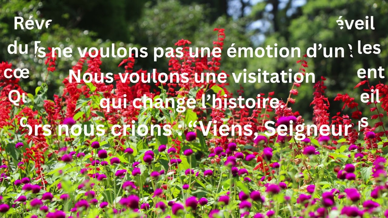 “Jésus, règne sur nous ”