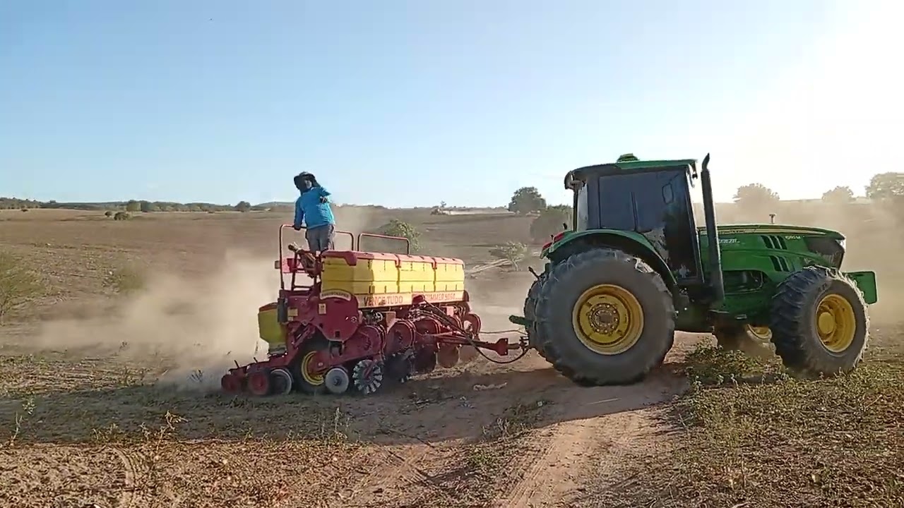 Já estão plantando milho