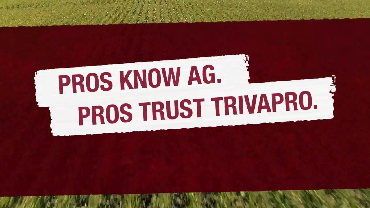 Know Why Pros Trust Trivapro?