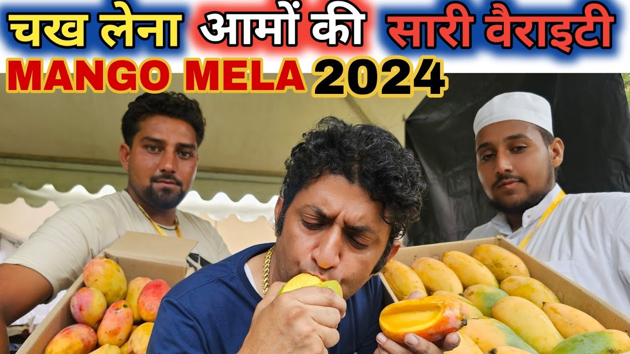 Tasting All Mangoes 🤑 at Mango Mela 2024 2025 Pinjore Garden | International Mango Festival Pinjore