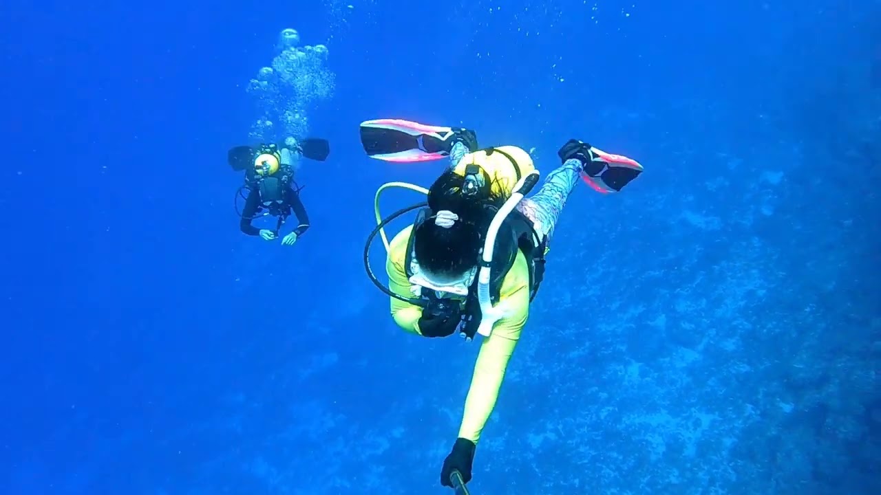 Dive @ Rota Hall Northern Marianas Island