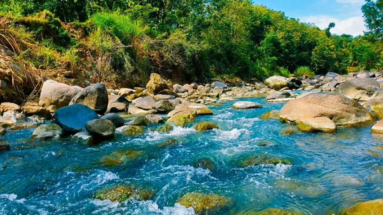 Calming River Stream Live 24/7 – Gentle Water Flow & Green Noise for Sleep & Relaxation