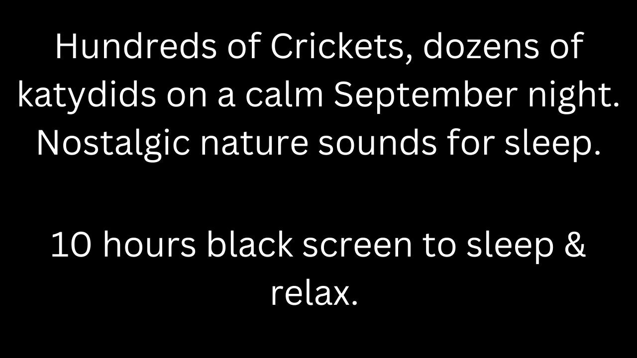 Hundreds of crickets, dozens of katydids in September, black screen to sleep 10 hour cricket sounds