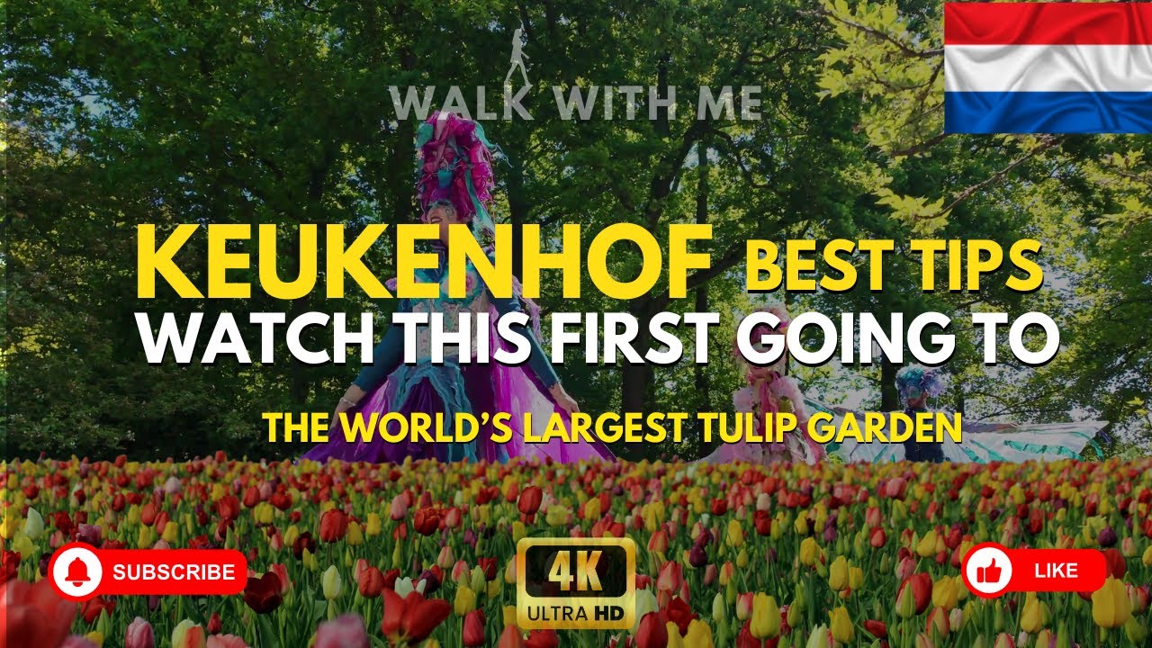 Amsterdam Keukenhof - tips for  the most insane flower festival in the world🌷 Netherlands 4K