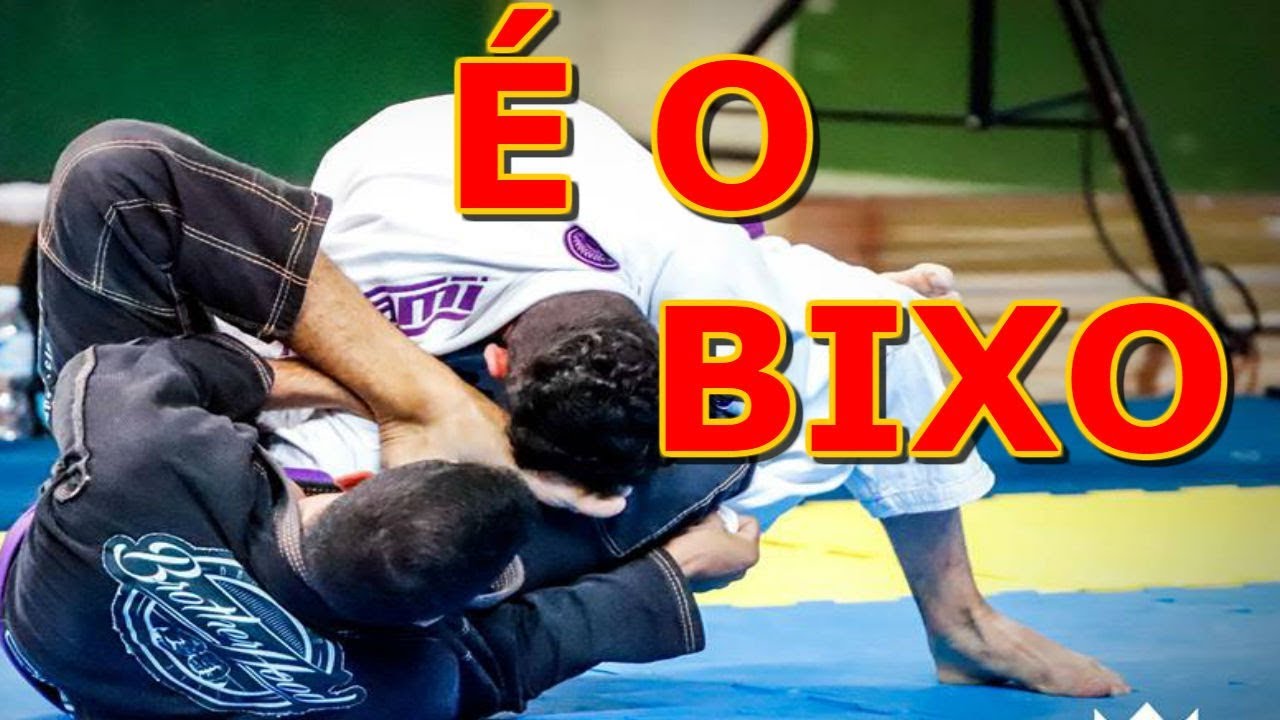 Analise Da Luta Animal - Faixas  Brancas Com Varias Técnicas
