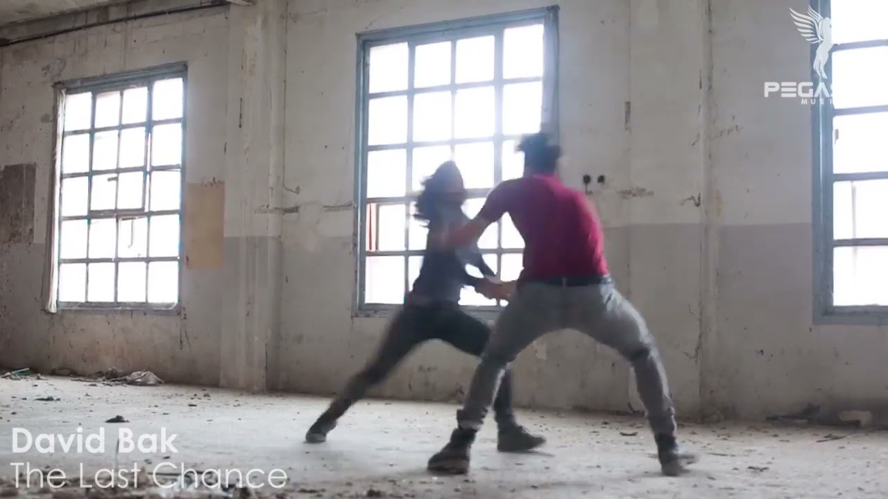 David Bak - The Last Chance