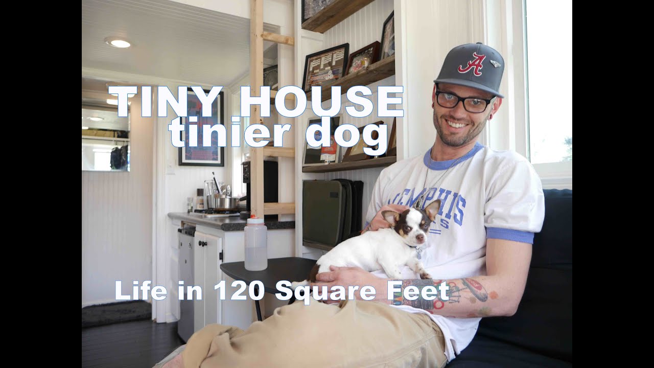 Tiny House, Tinier Dog- Living in a 120 Square Feet (Small Home