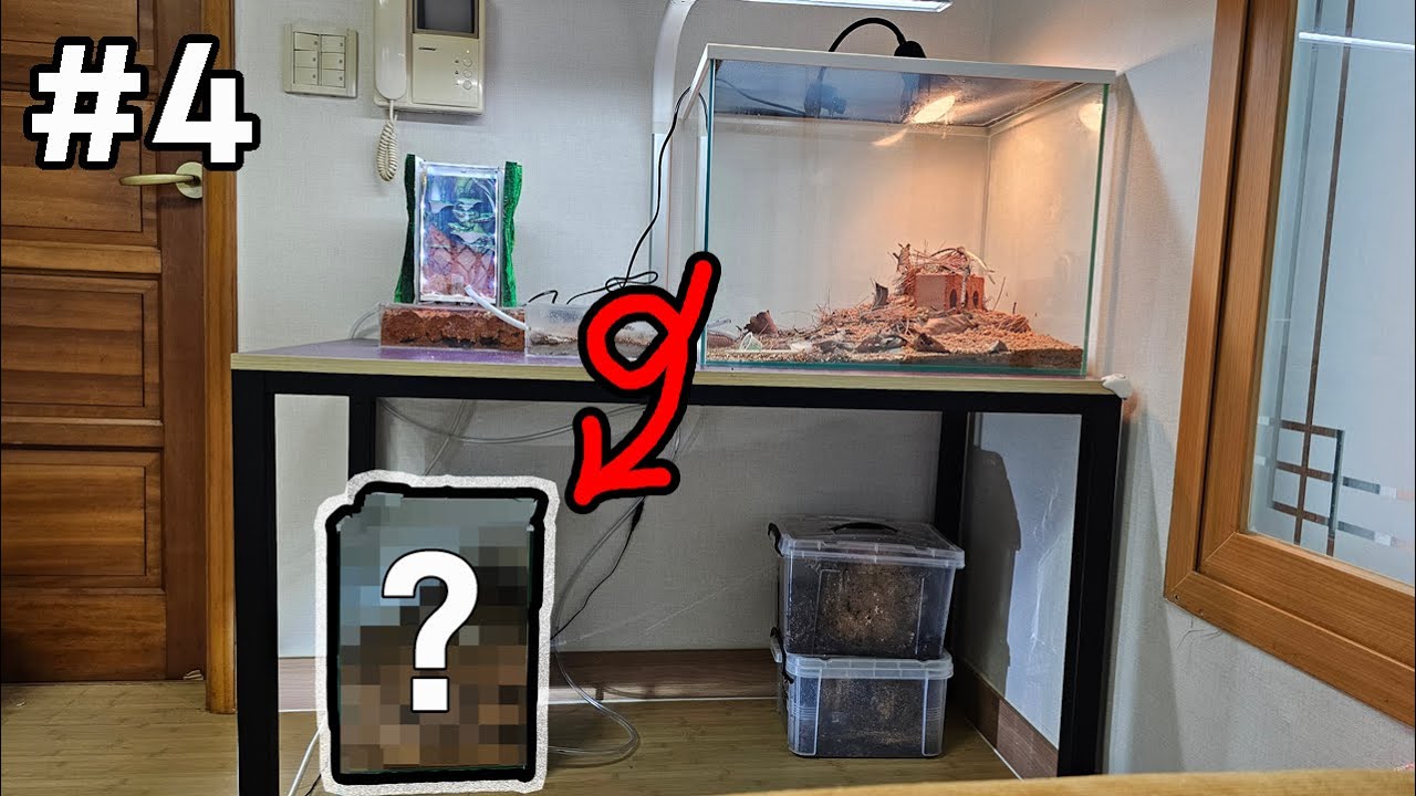 #4) 불개미군단에게 신비한 