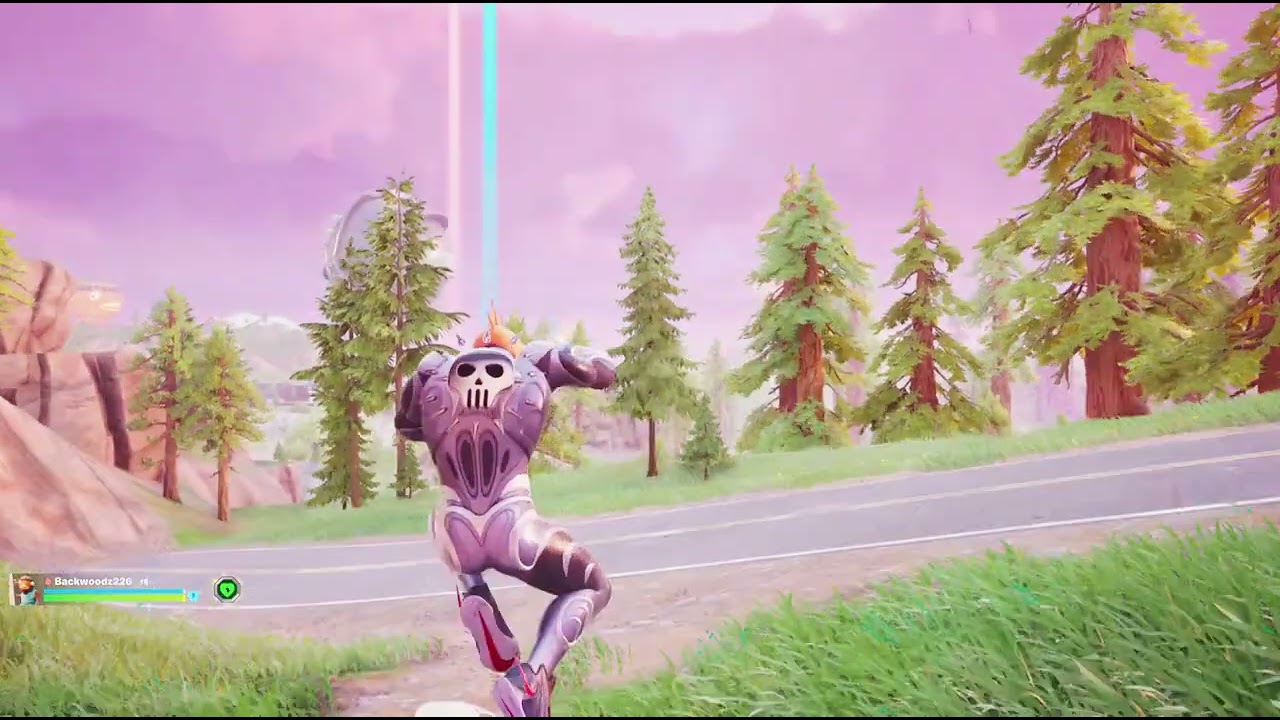Fortnite victory royale