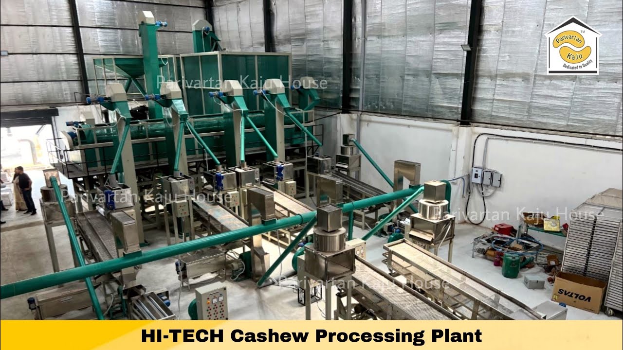 HI-TECH Cashew Processing Plant/Machine de traitement denoix decajou entièrement automatique