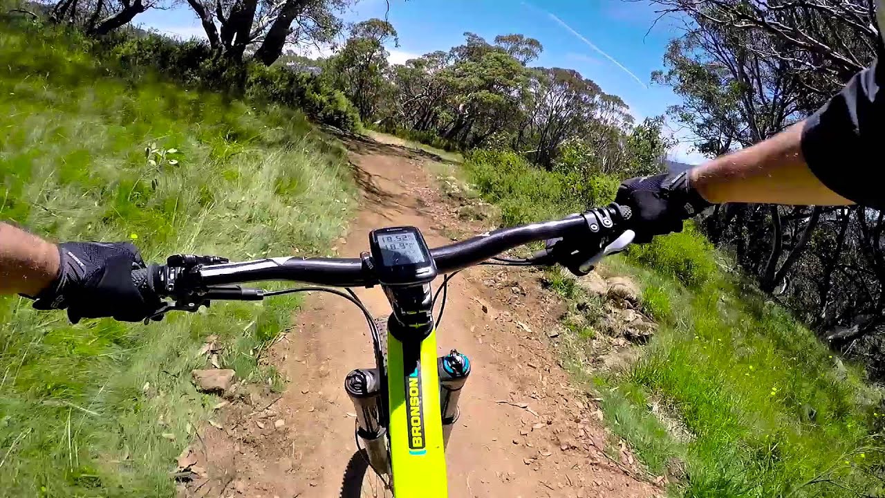 ABOM - MT Buller