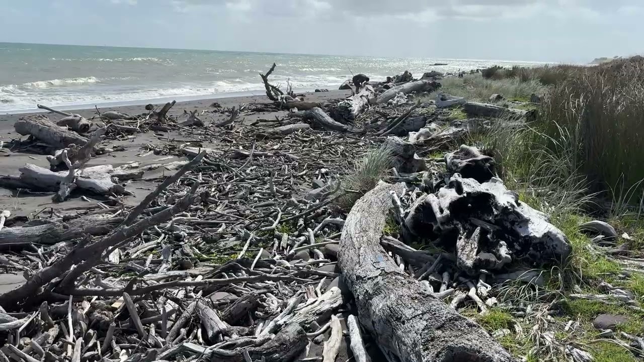 Waitara - 20th Feb 2026