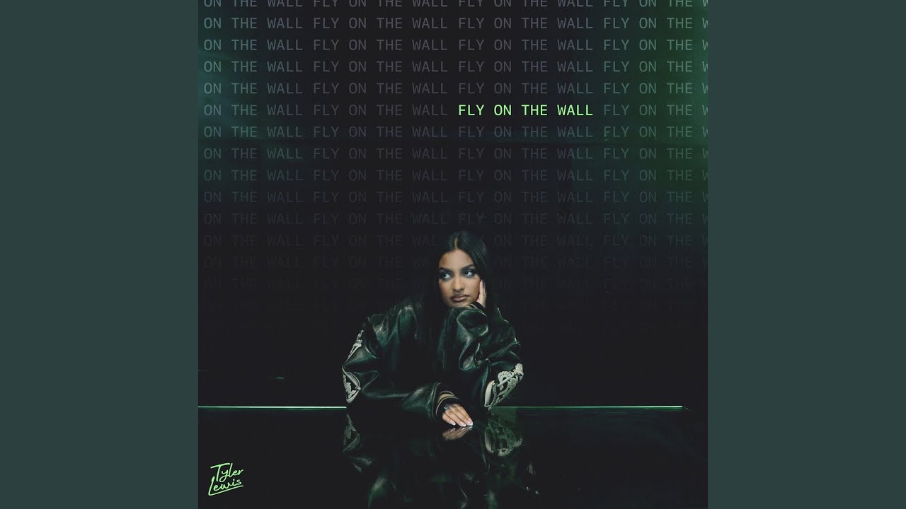 fly on the wall