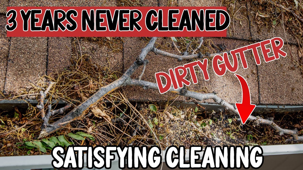 Get Your Gutters Clean in Just 10 Minutes!