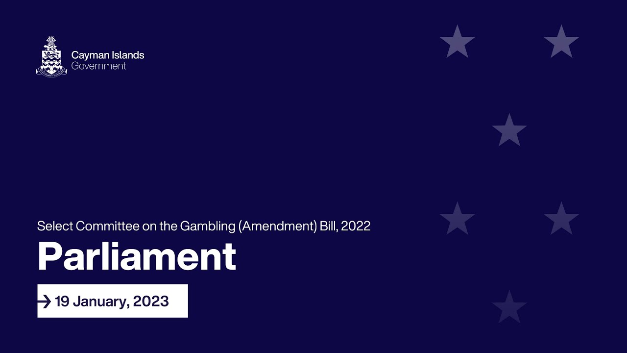 Select Committee on the Gambling (Amendment) Bill 2022 | 19 January 2023 (Part 2)