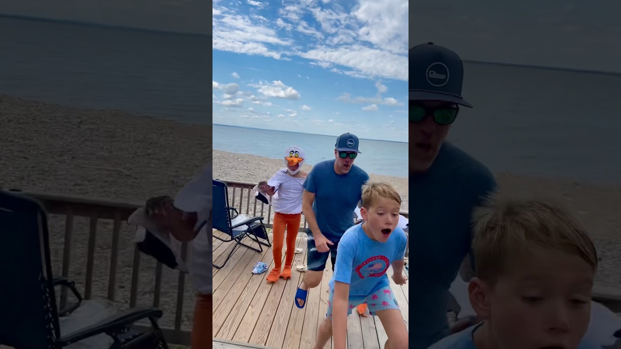 Why You Don’t Feed The Seagulls At The Beach! #shorts
