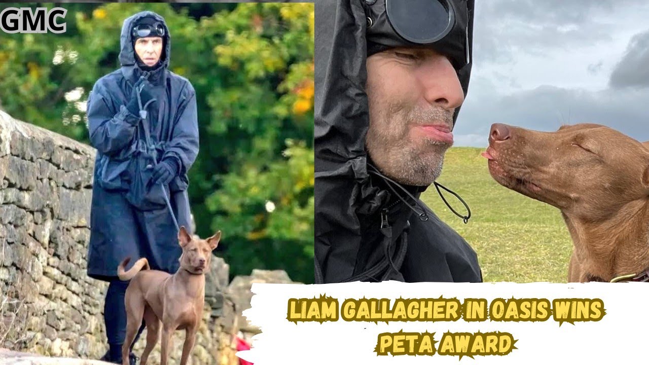 Liam Gallagher in Oasis Adopts Homeless Dog and Wins PETA Award.