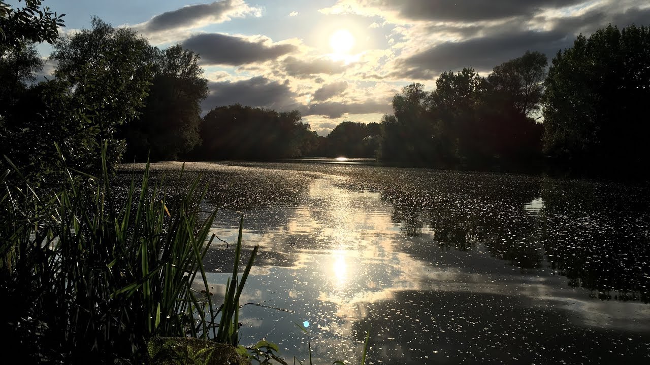 Broadlands Lake, Romsey - 48hrs with Dad