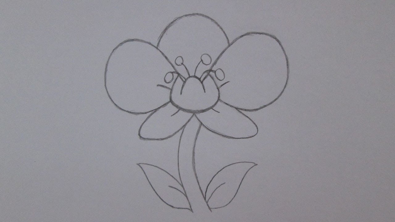 Como desenhar uma flor orquídea
