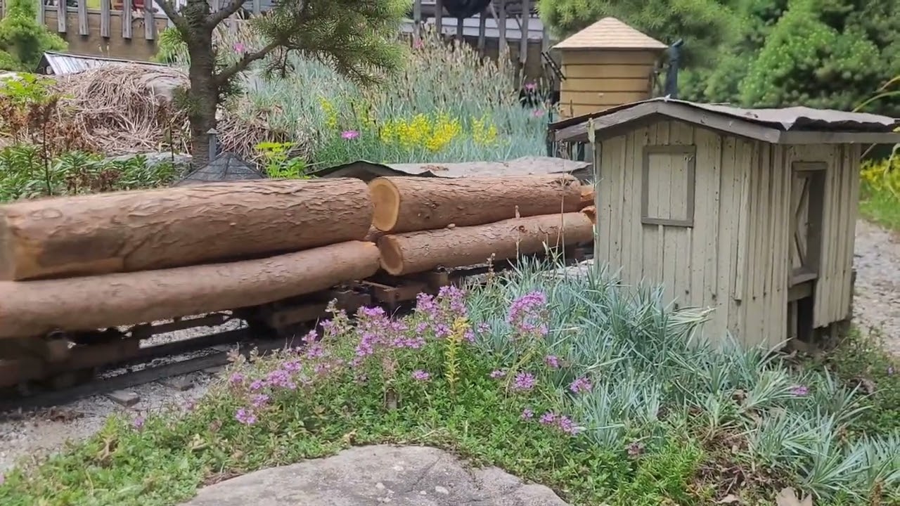 First full day of Summer. Regner Lumberjack