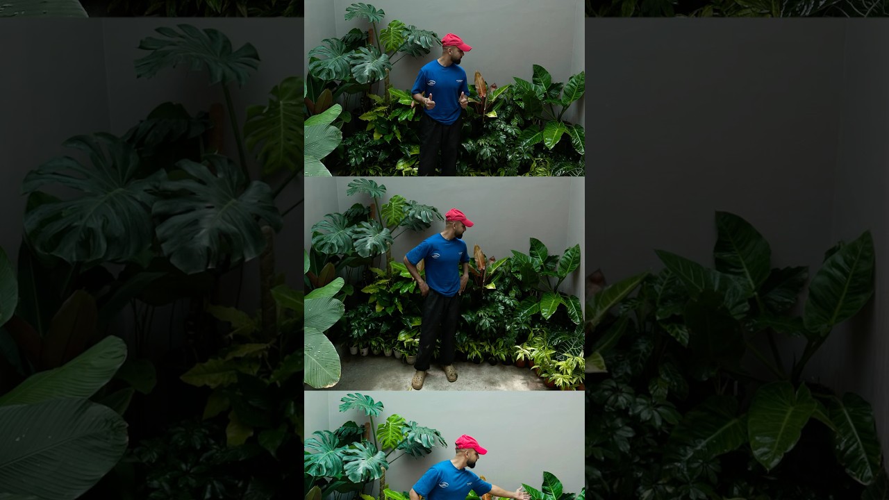 Meet the tropical plants by name | voiceover 🎙️  #jishnuuthaman #exoticgarden #tropicalgarden