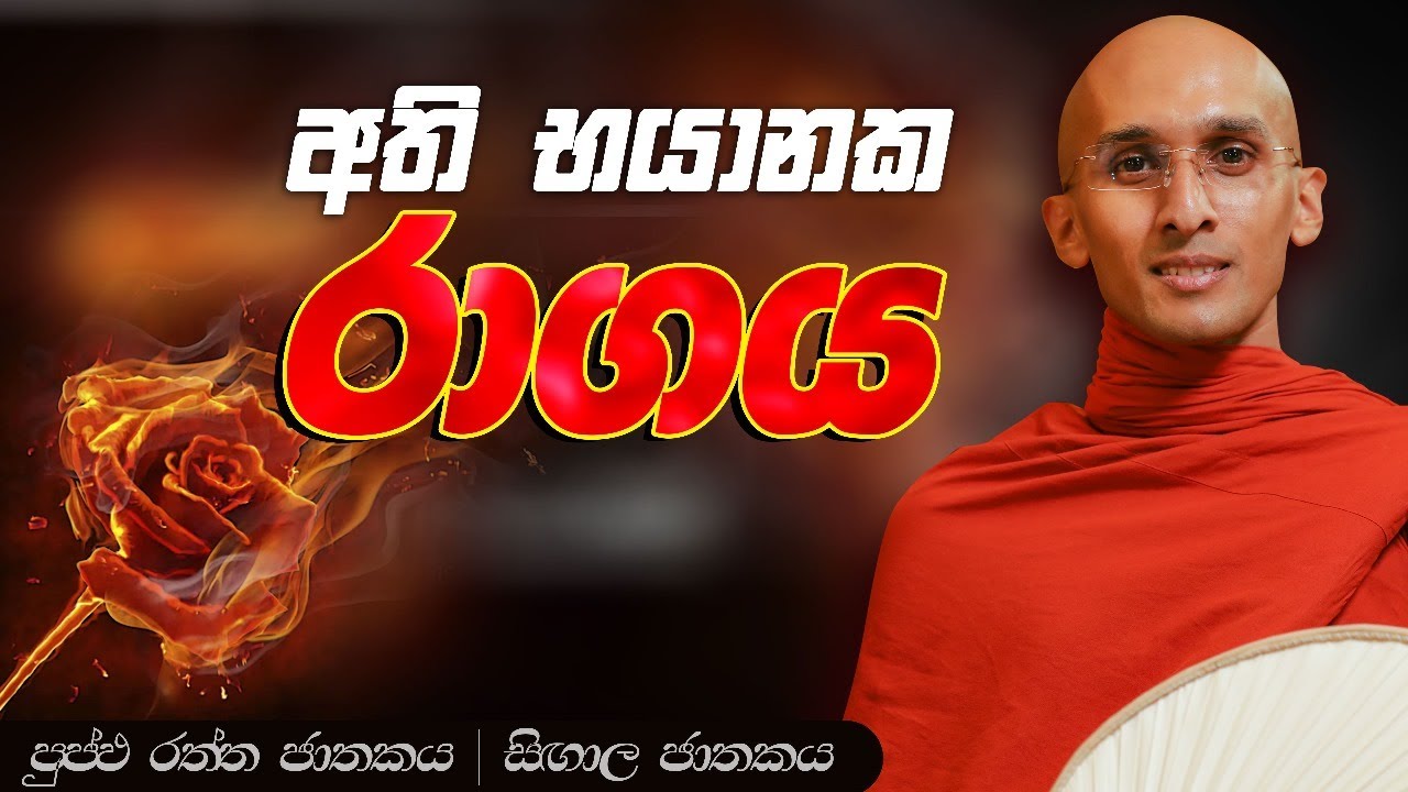 83. අති භයානක රාගය | පුප්ඵරත්ත ජාතකය | සිඟාල ජාතකය | 2023-08-02