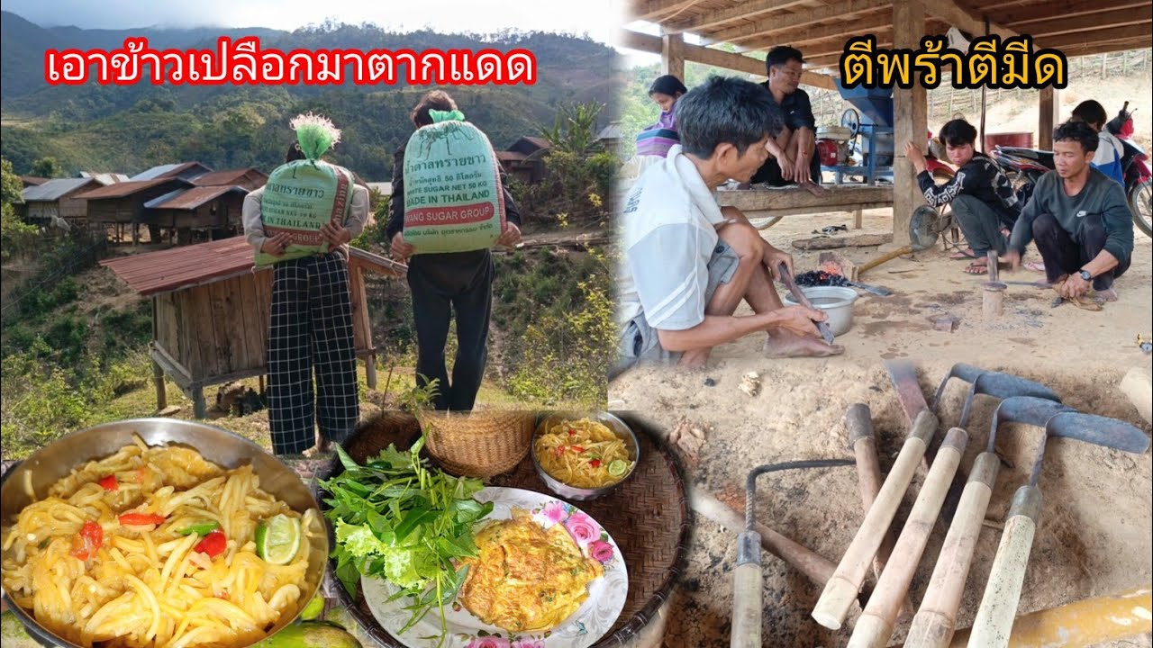 วิถีชีวิตคนในชนบทของลาวใต้ ตากข้าวเปลือก ตีพร้าตีมีด ทอดไข่ ตำบักหุ่งสำหรับอาหารเที่ยง-บ่าวยืง