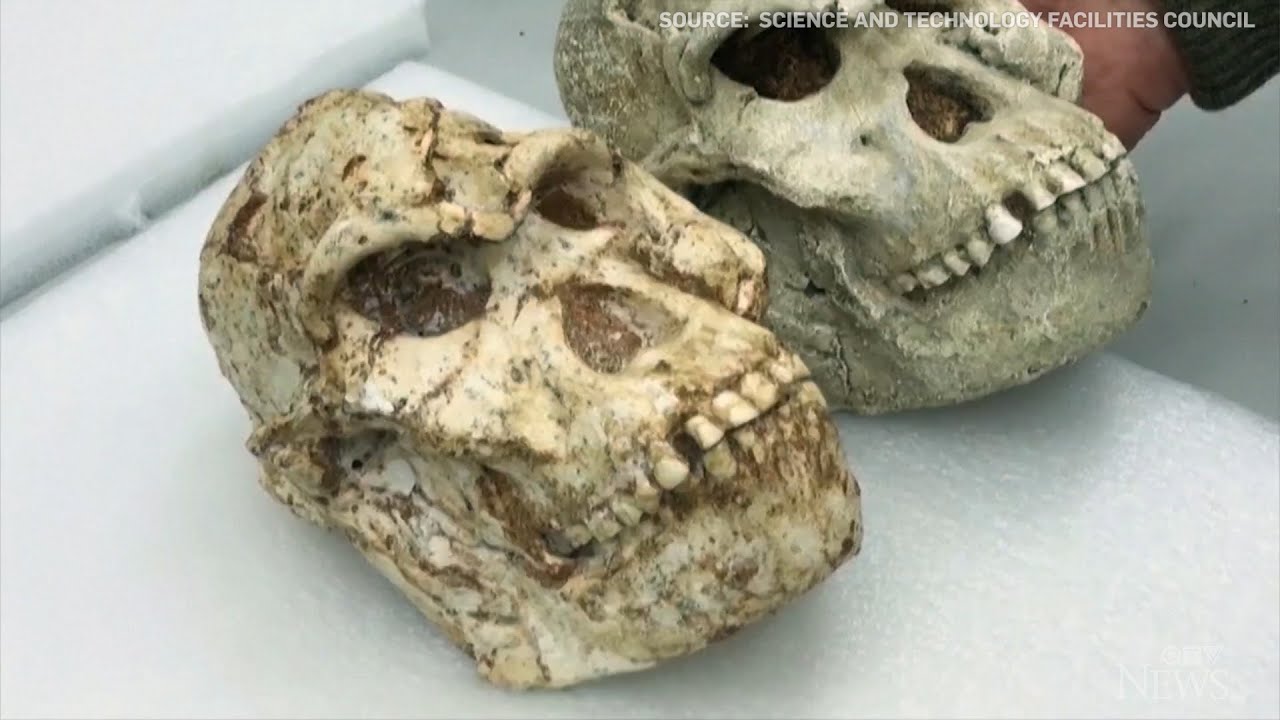 New secrets of the Little Foot fossil revealed