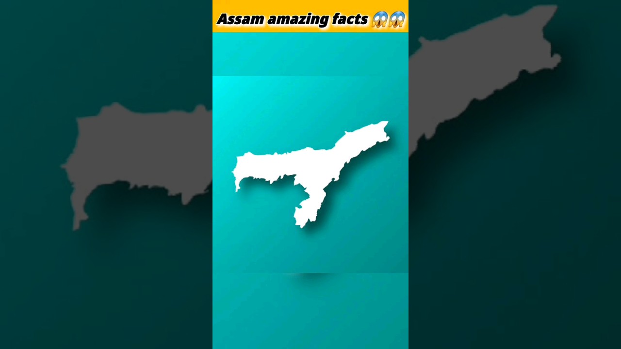 Assam amazing facts। #fourfact4 #shorts #facts #assam