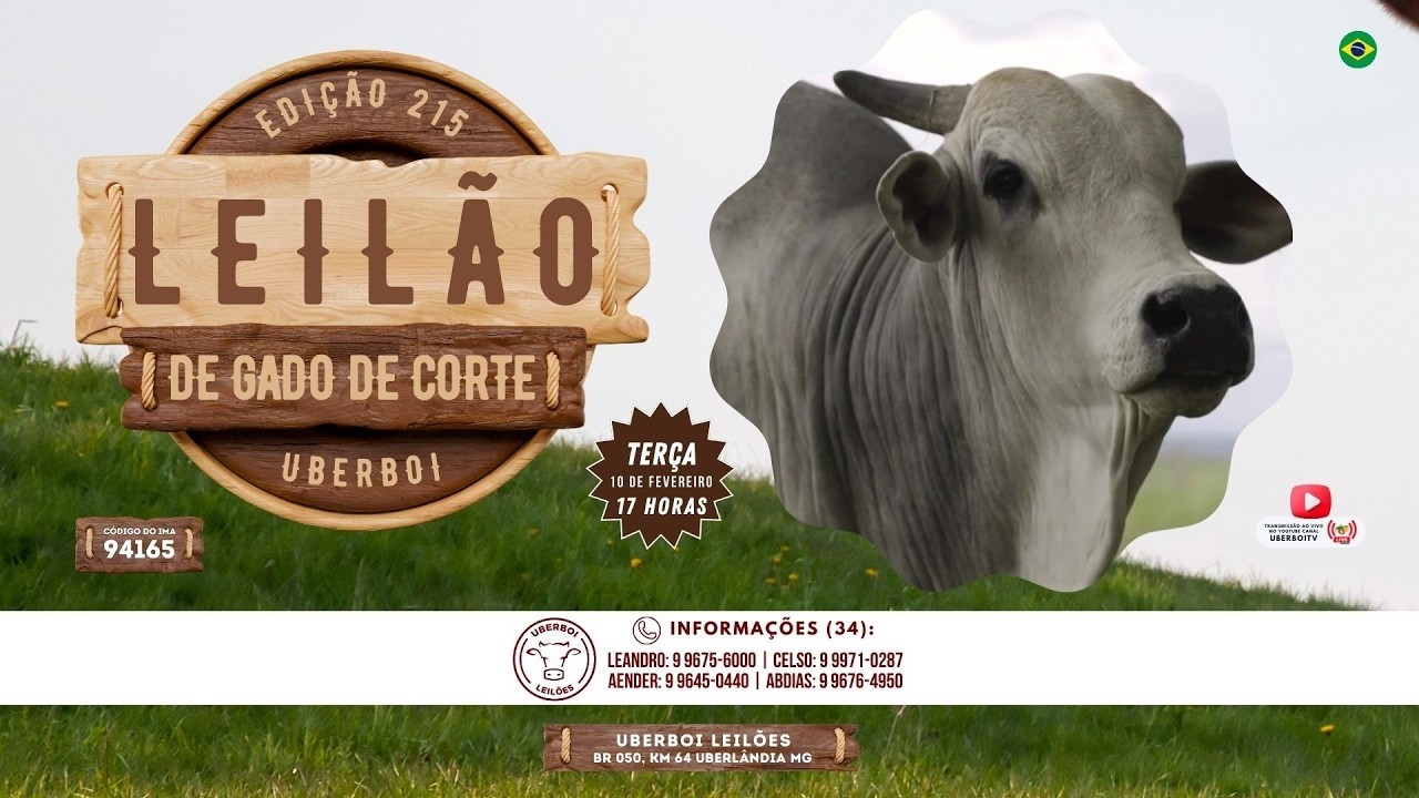 215º LEILÃO UBERBOI LEILÕES - UBERLÂNDIA MG - 10/02/2026 - 17 Hrs