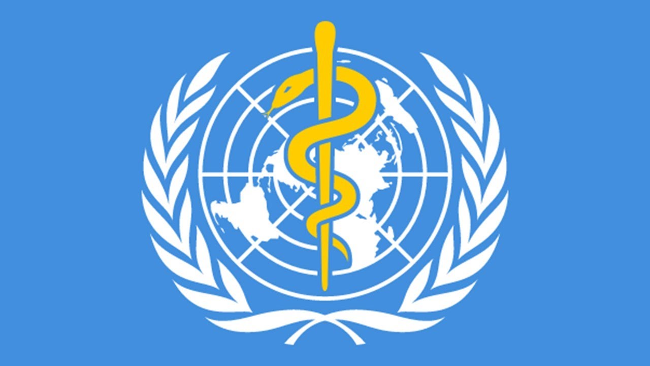 &iquest;Qu&eacute; es la OMS u Organizaci&oacute;n Mundial de la Salud?