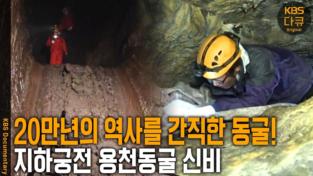 동굴 속 물고기, 모래가 만들어낸 석회 생성물. 베일에 가려져 있던 지하궁전 용천동굴의 신비 | KBS 20101009 방송
