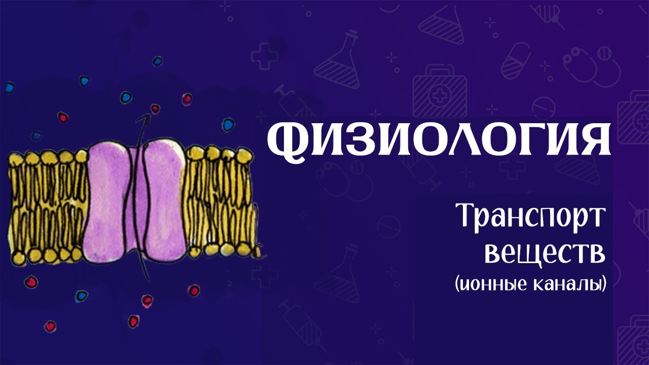 Транспорт веществ через мембрану