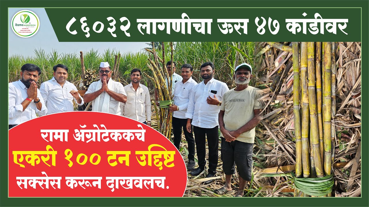 ८६०३२ लागणीच्या ऊस ४७ कांडीवर, रामा ॲग्रोटेकचे एकरी १०० टन उद्दिष्ट सक्सेस करून दाखवलच.|RamaAgrotech