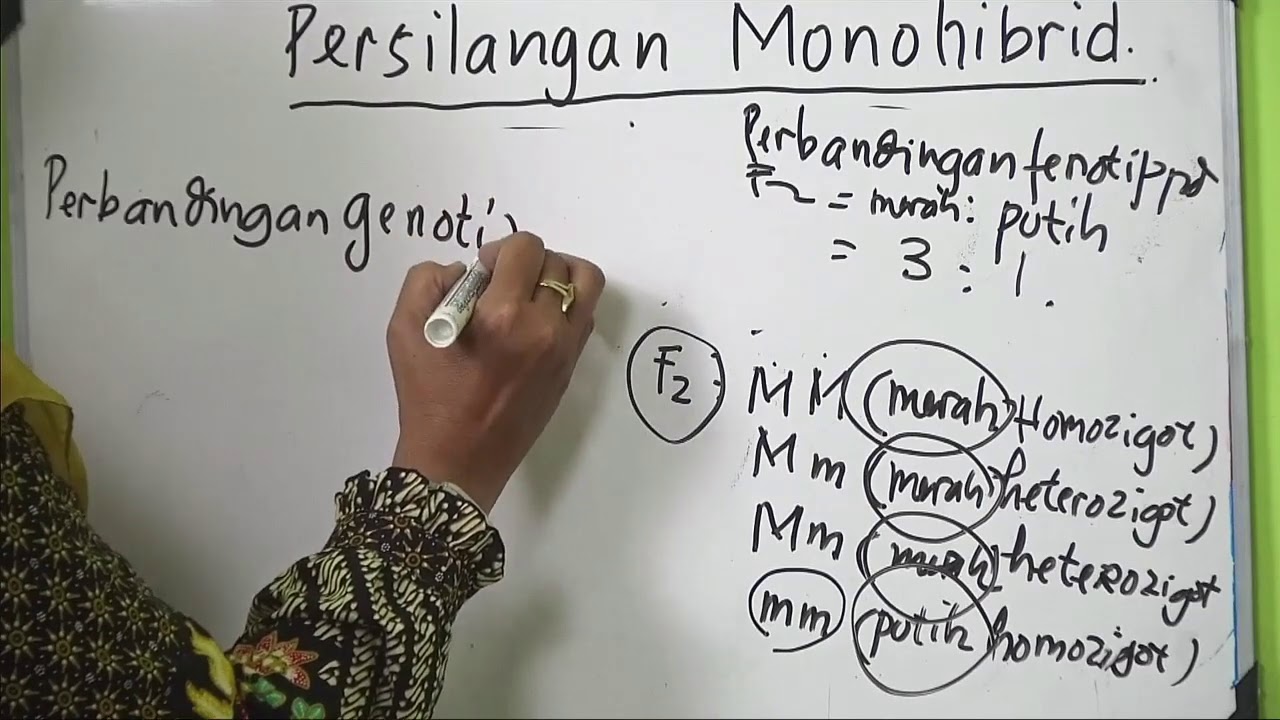 Persilangan Monohibrid & Dihibrid - Video Pembelajaran IPA Kelas 9