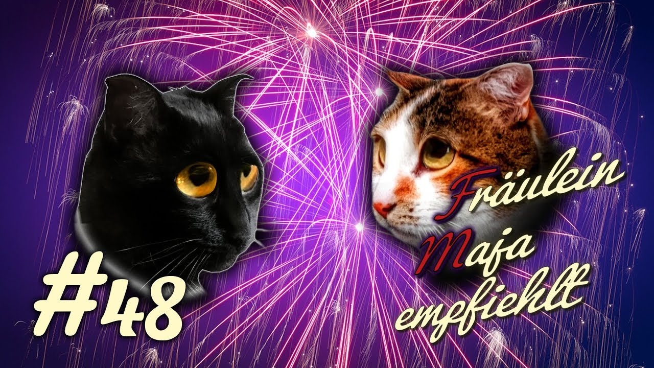 Silvester-STRESSFREI mit diesen 6 Tipps-Feuerwerk mit Katzen. Fräulein Maja empfiehlt Teil 48