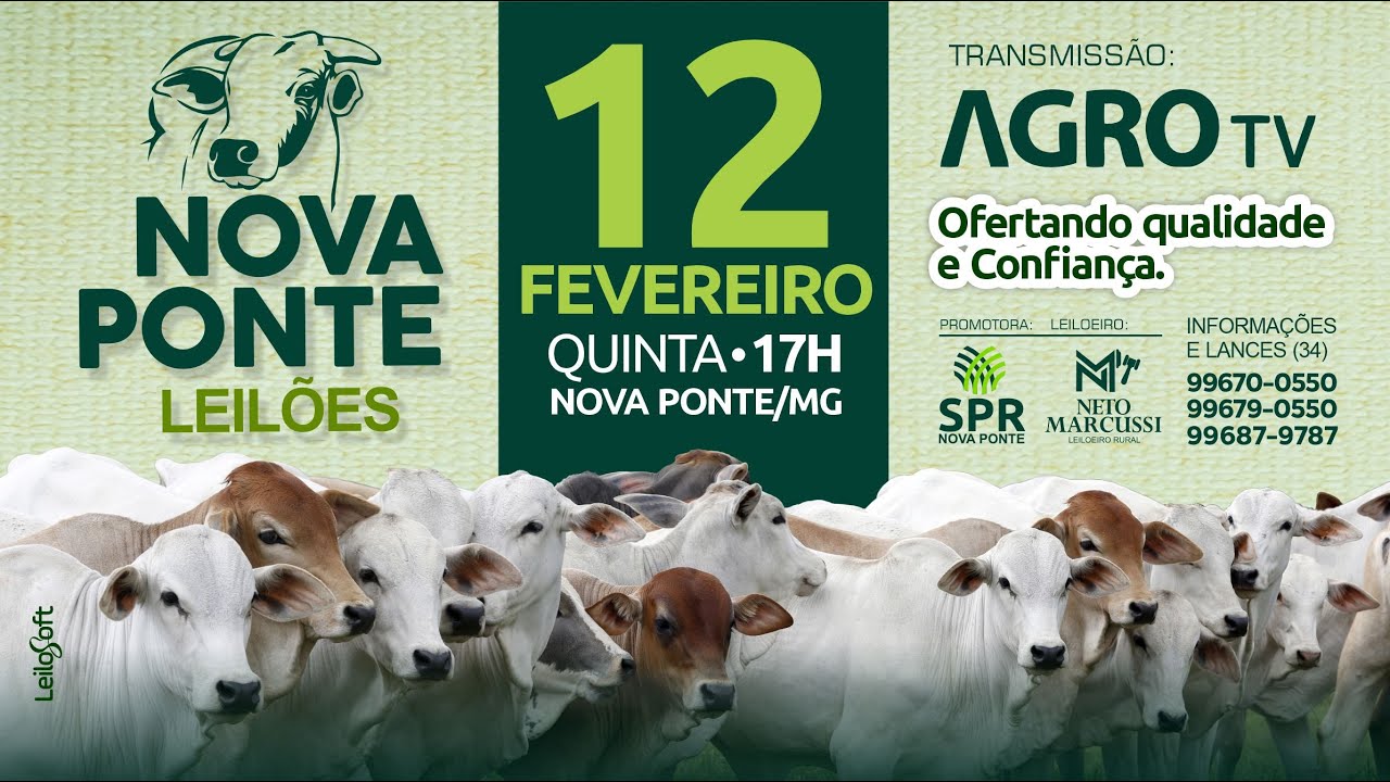 NOVA PONTE LEILÕES - 12/02/2026