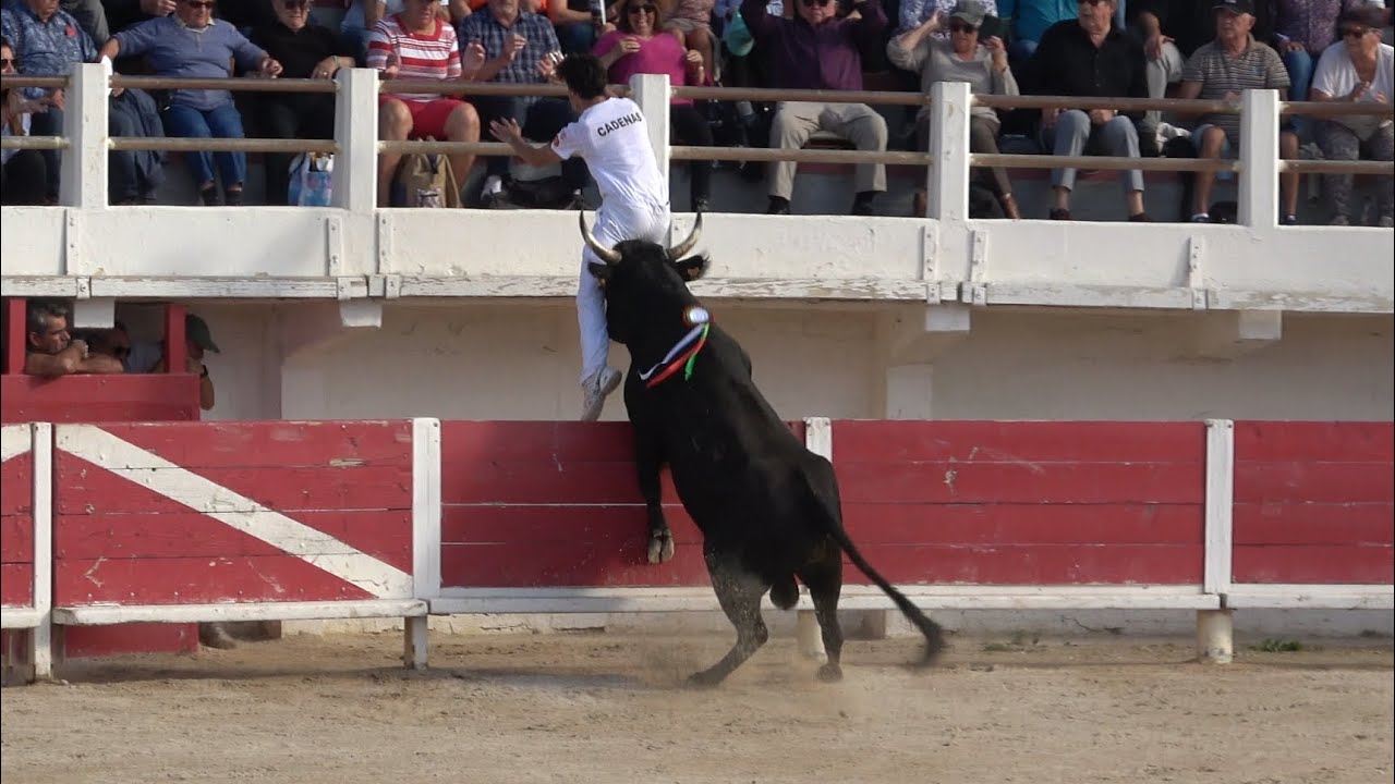 SAINTES MARIES DE LA MER FINALE TAÜ 23/10/24